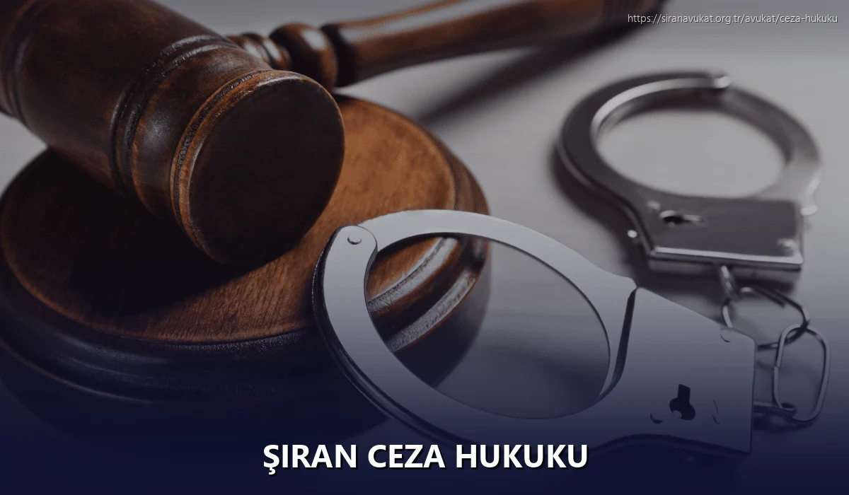 Şiran Ceza Hukuku